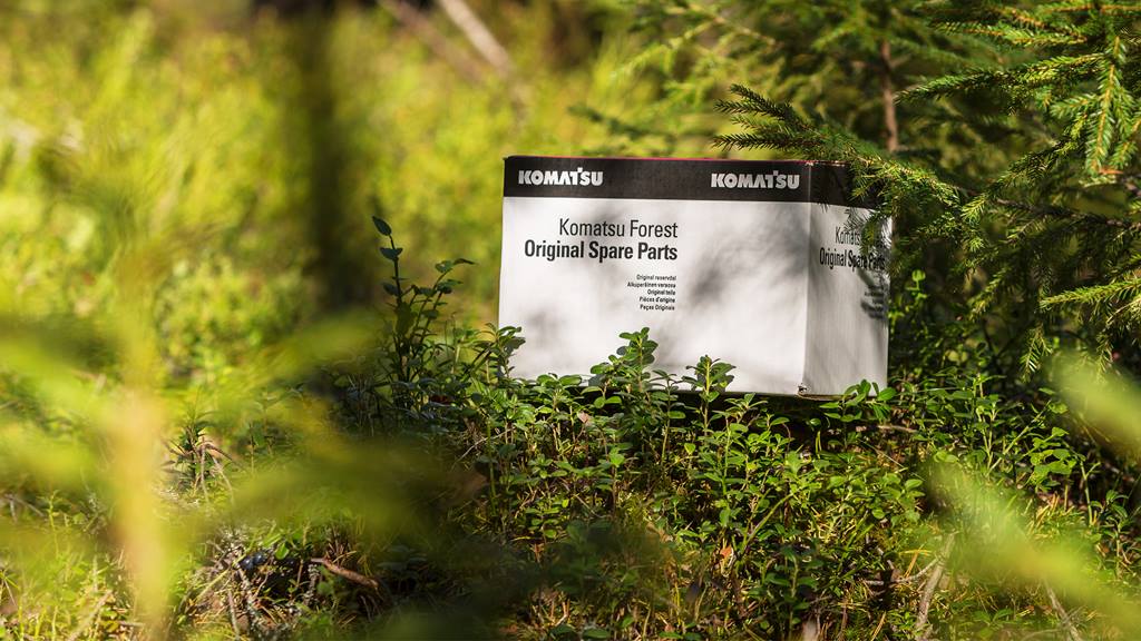 Komatsu spare parts box in forest