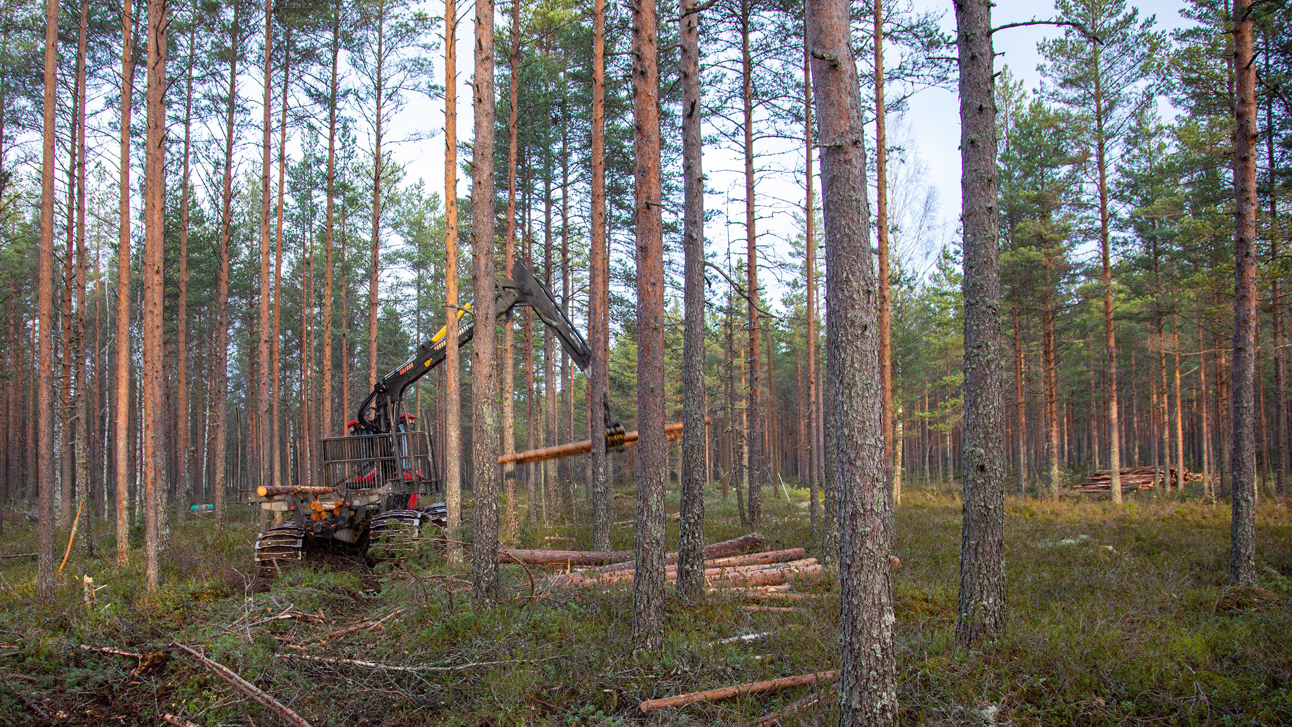 AJ-Konepalvelun työmaalla Hämeenkankaalla