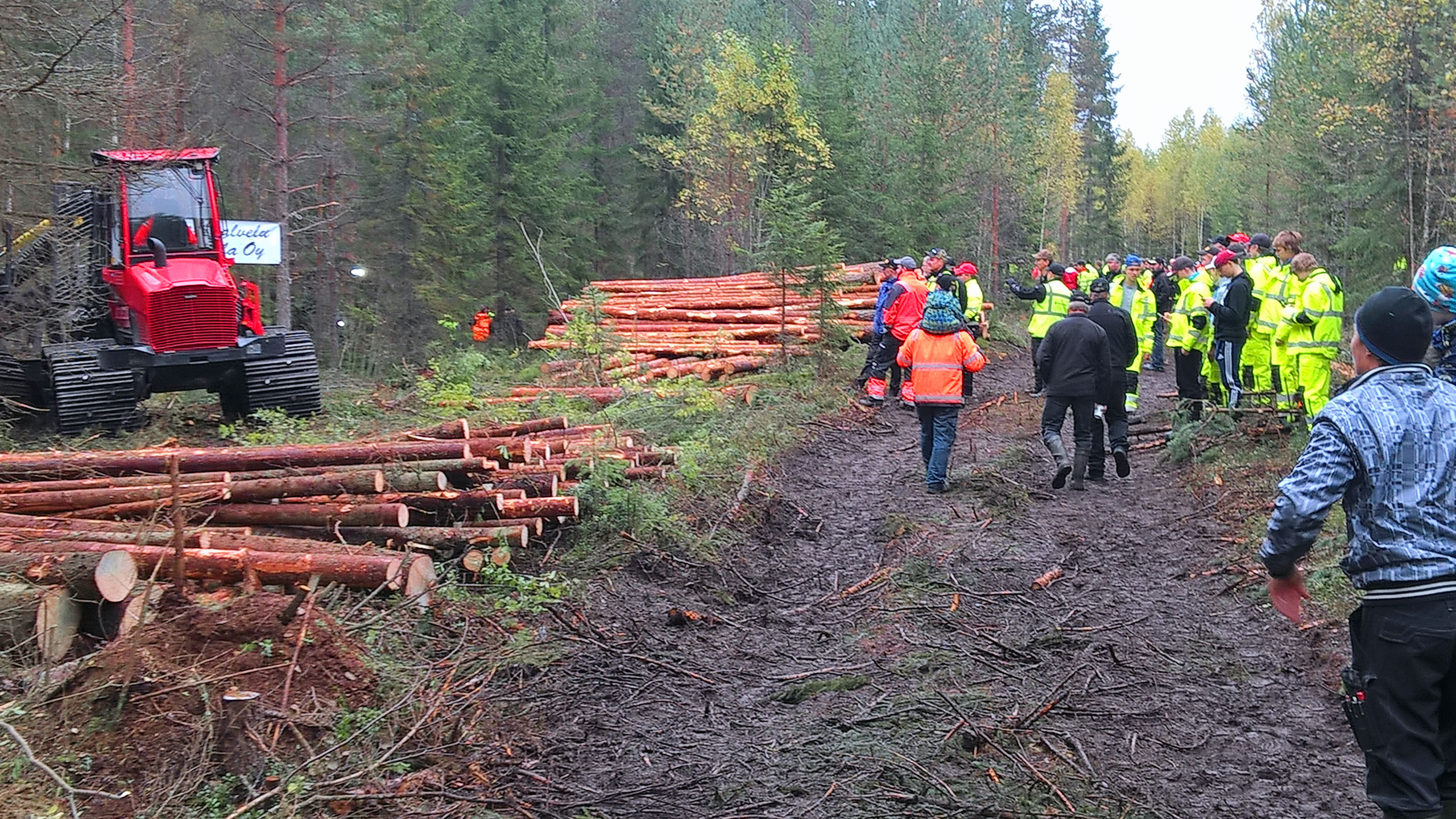Haukivuoren koetyömaa, kuva 1