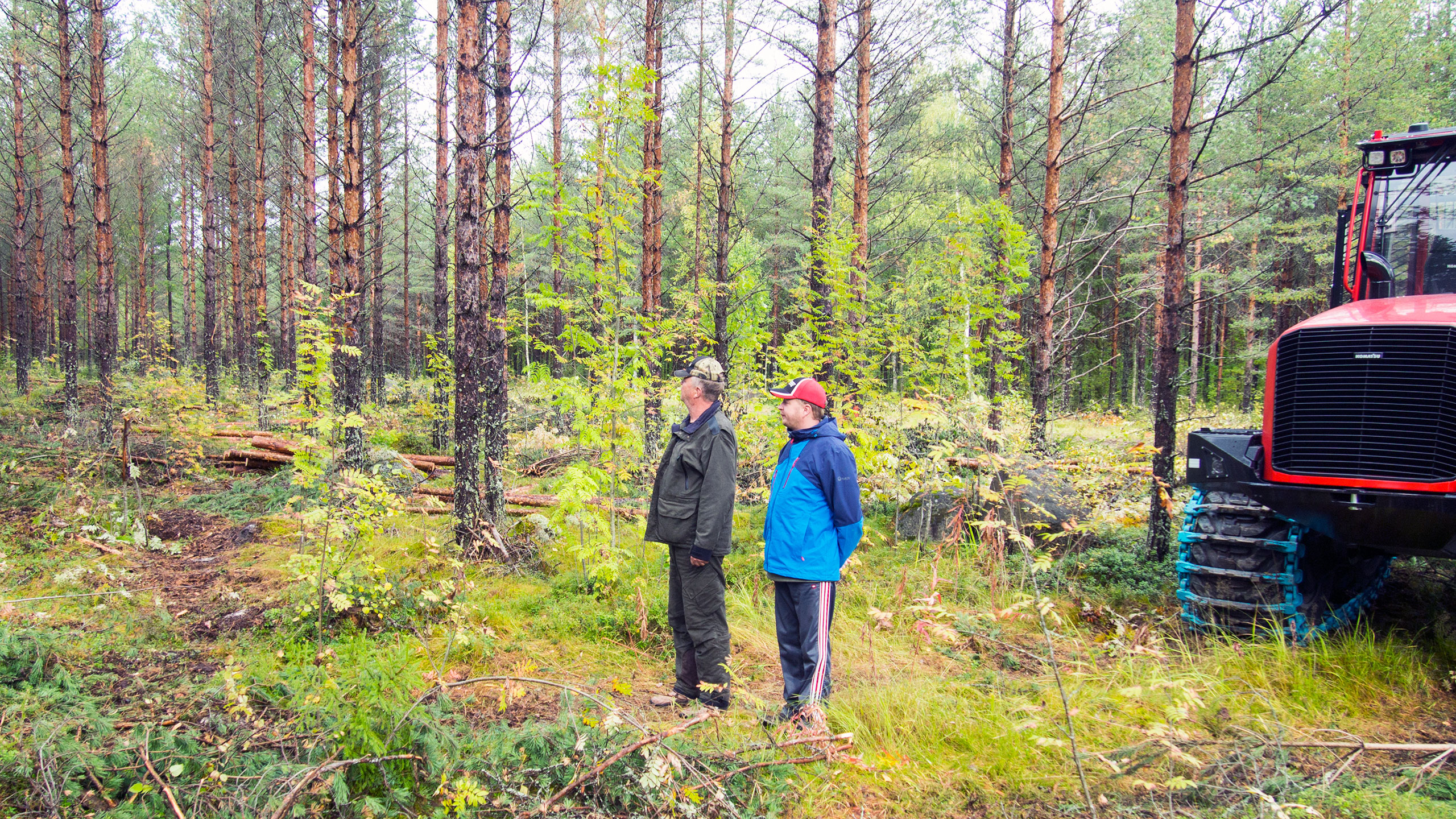 Metsäpalvelu Hiekkala Oy:ssä voidaan katsoa luottavaisesti tulevaisuuteen