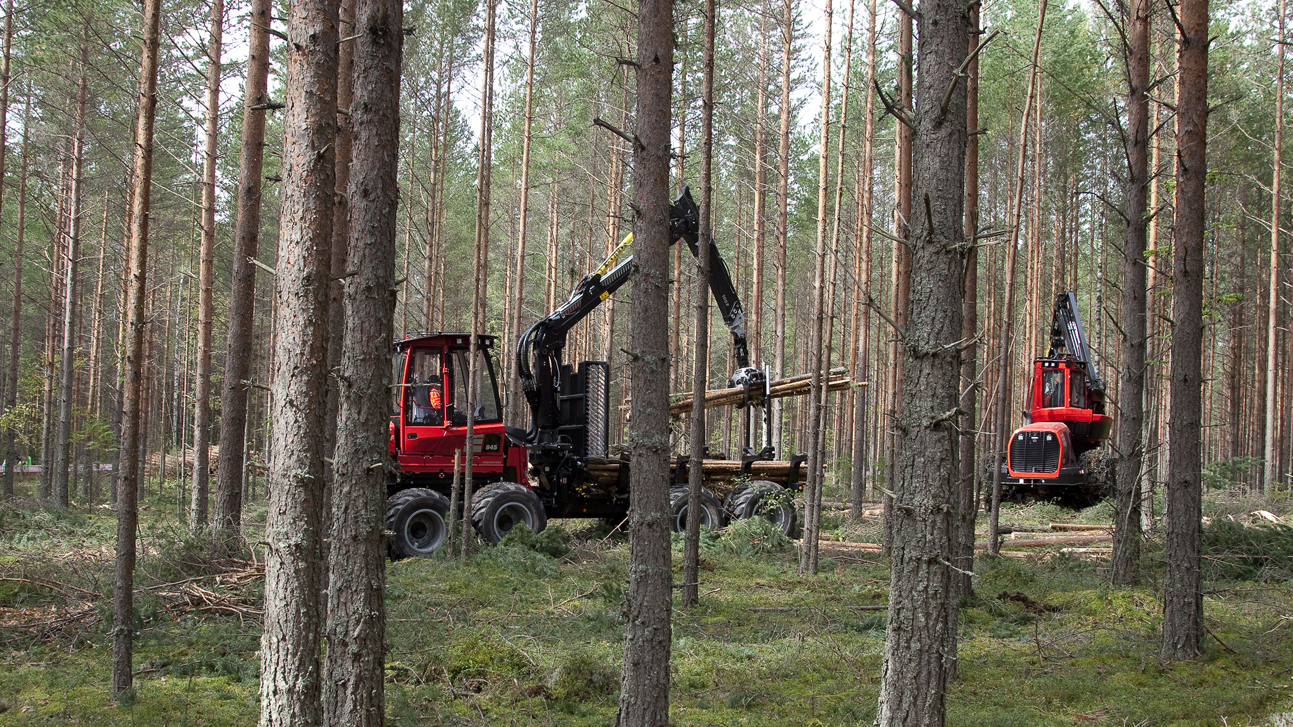 Komatsu 845 -kuormatraktori ja taustalla Komatsu-hakkuukone