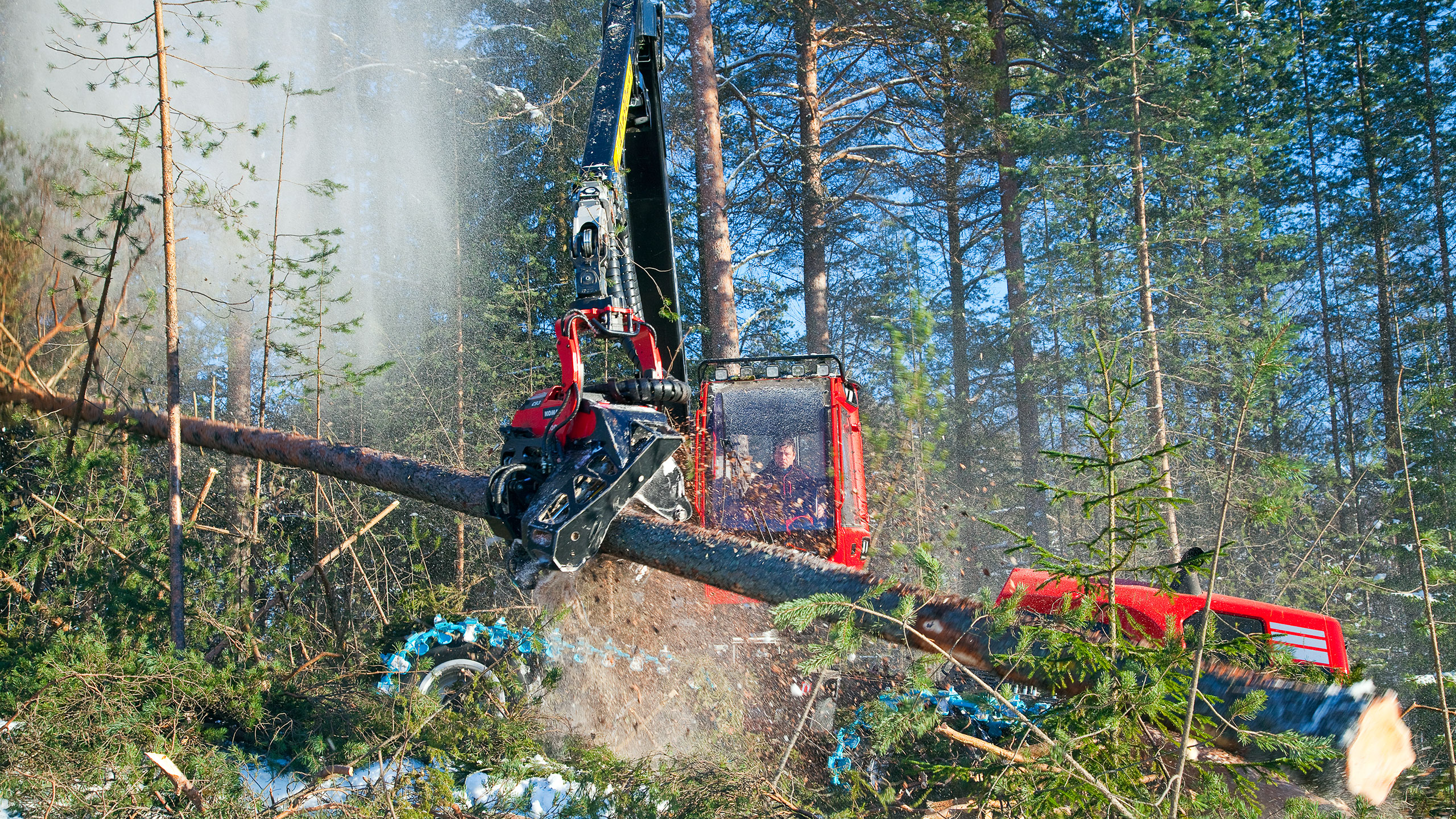 Komatsu 901XC karsii Asko Piiraisen ohjastamana