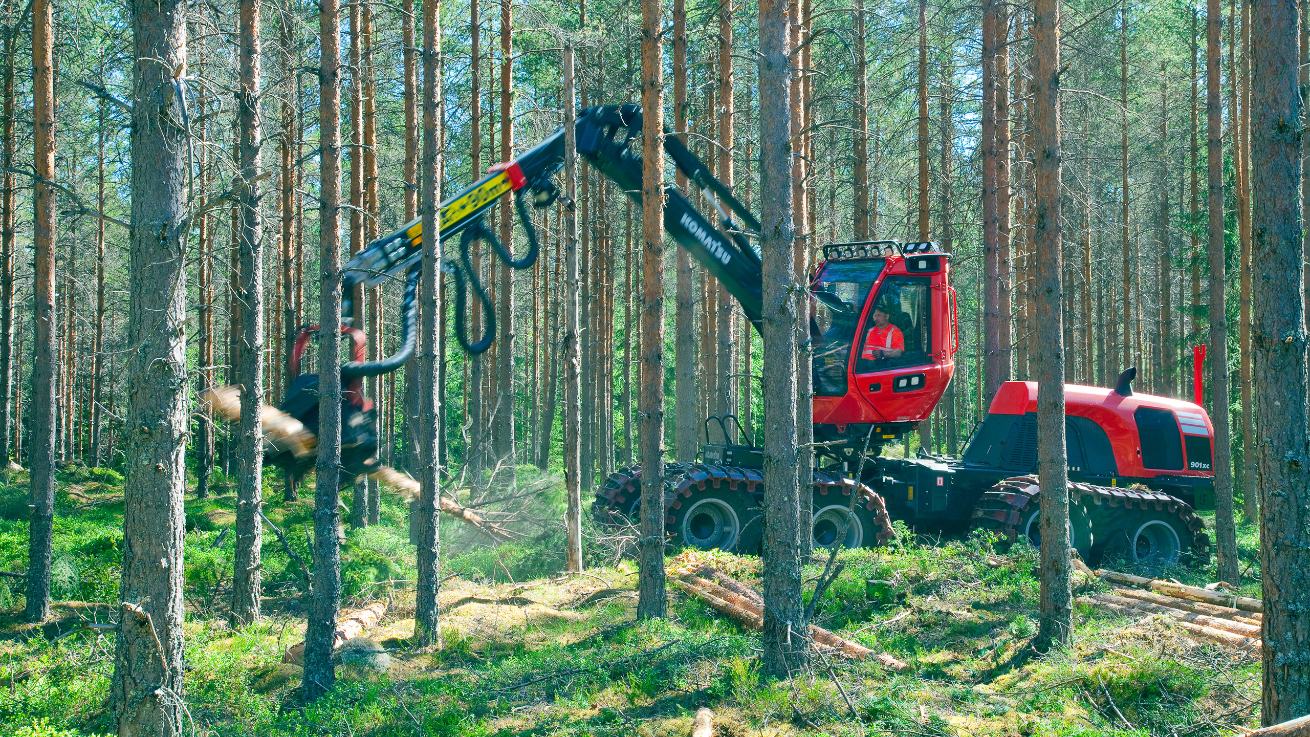 Komatsu 901XC harventamassa