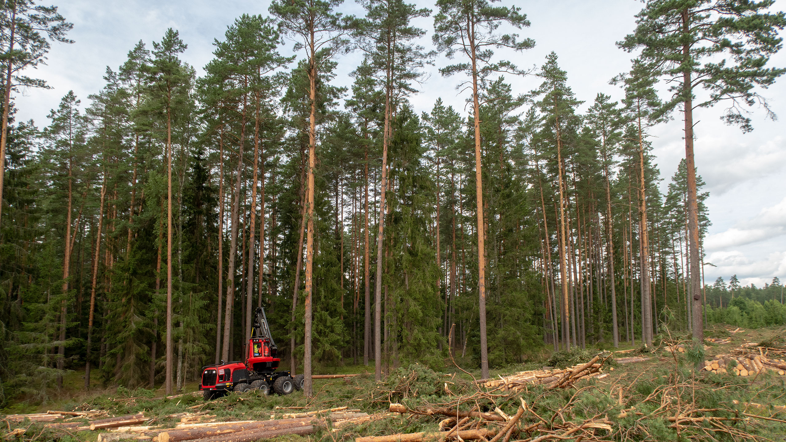 Liettuasta on tullut entistä merkittävämpi markkina-alue Komatsu Forestille