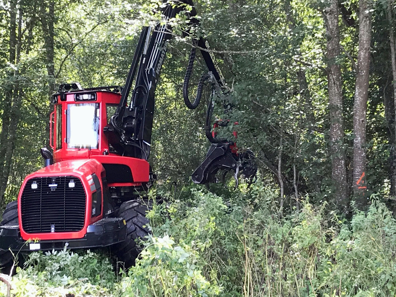 LogForest UAB:n Komatsu 911 hakkuunäytöksessä. Savotta ei ollut helpoimmasta päästä.