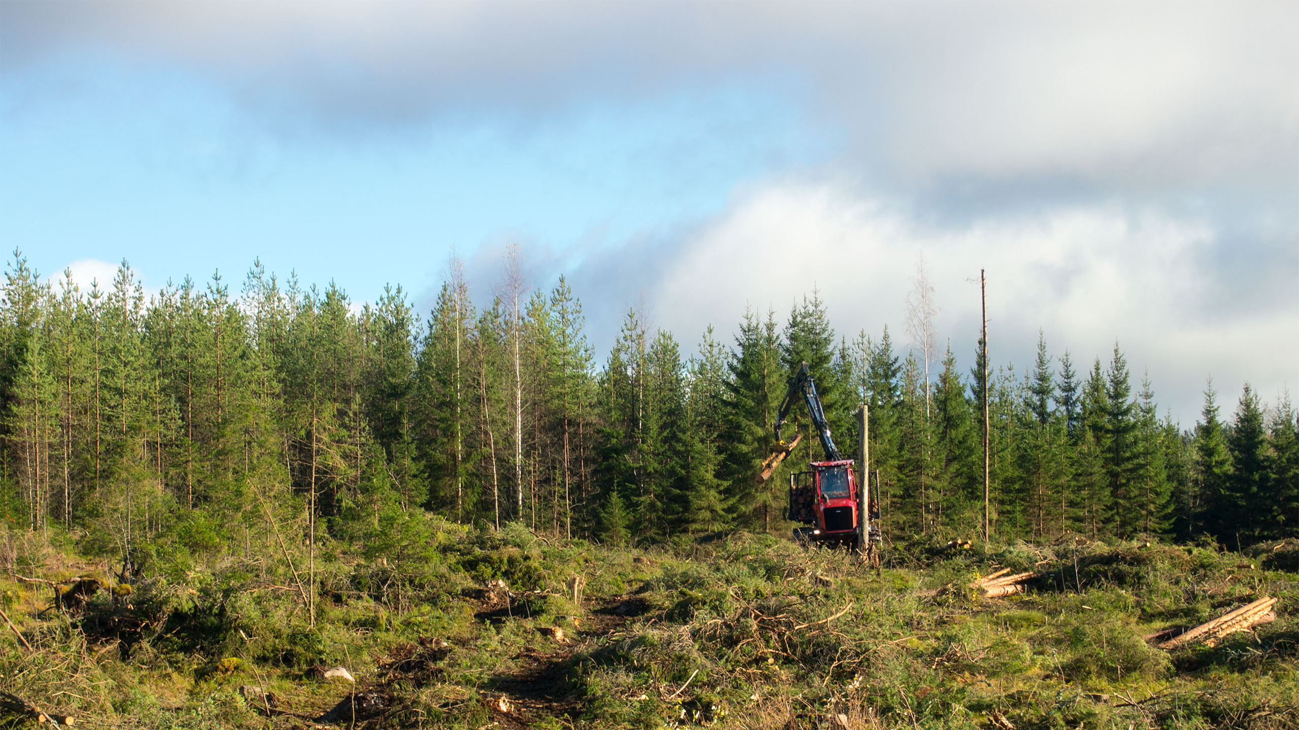 Osaava ja motivoitunut kuljettaja, hyvä kone. Se on tehokas yhdistelmä kovenevassa kilpailussa. Näin vakuuttaa NG Noggrann Hugg Ab:n Henrik Norrback.