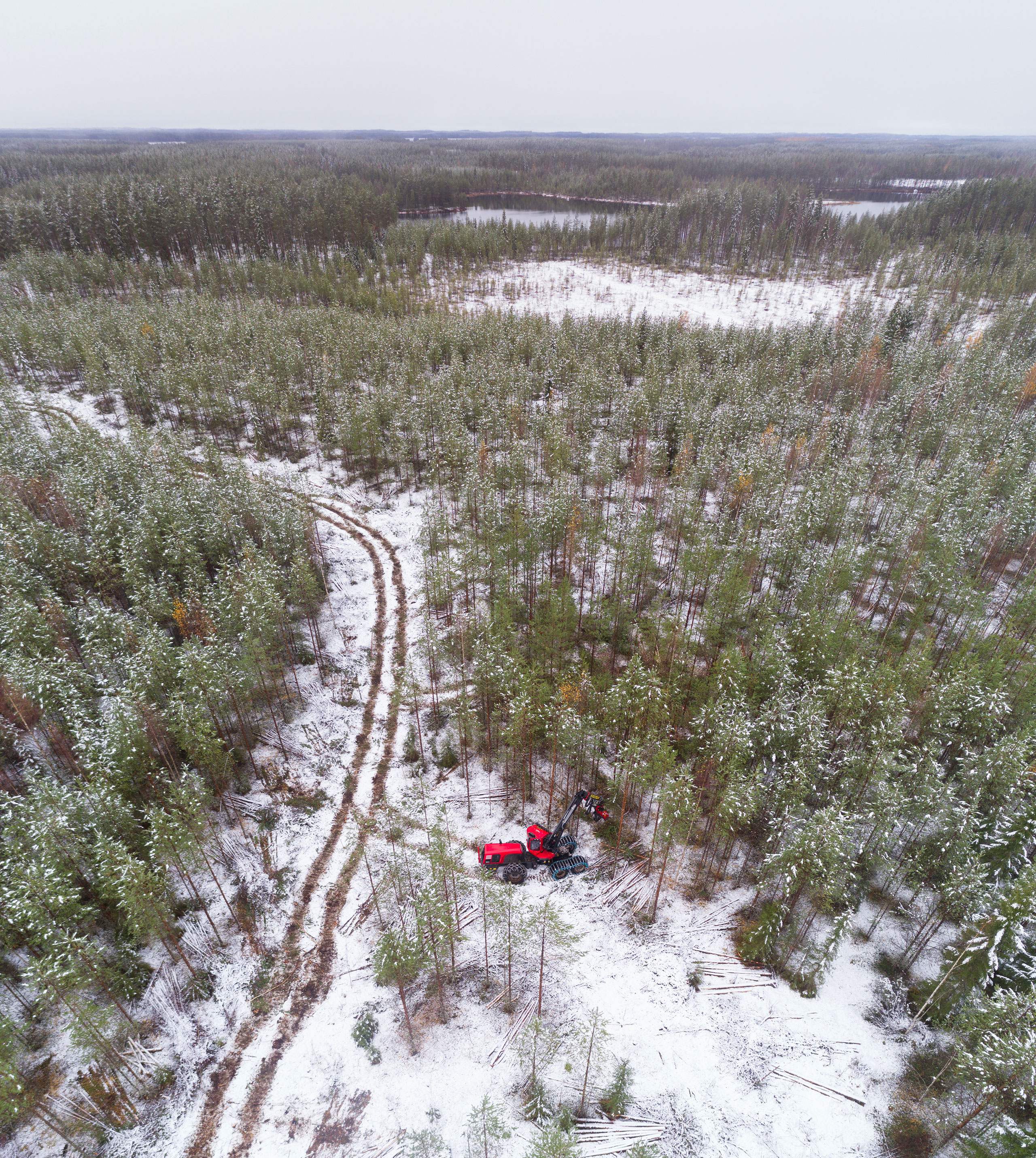 Teemu Tiitinen, harvennuskohteita riittää