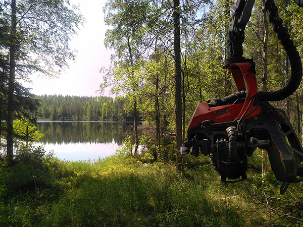 Komatsu Forest -valokuvauskilpailu heinäkuu sija 2. Antti Huttunen