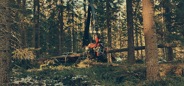 Komatsu Forest -valokuvauskilpailu huhtikuu sija 2. Joni Valli