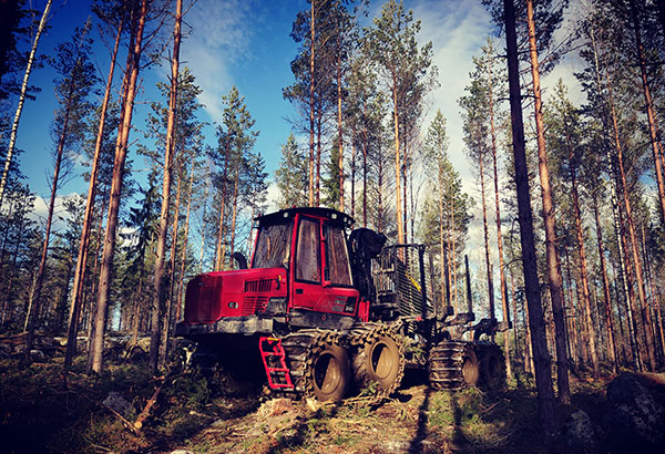 Komatsu Forest -valokuvauskilpailu huhtikuu sija 3. Matti Raunio