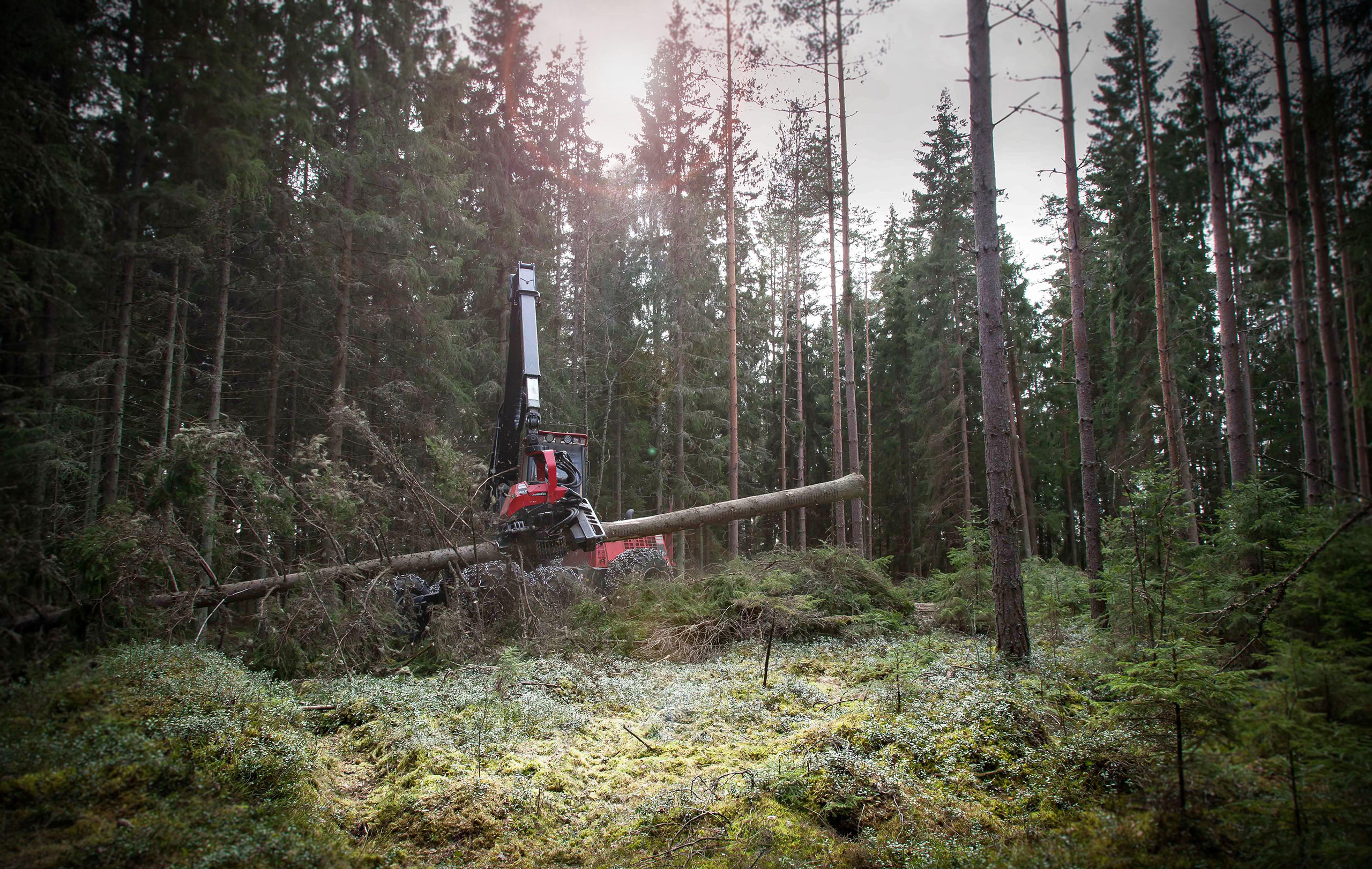 Komatsu Forest -valokuvauskilpailu huhtikuu sija 1. Tommy Hakola