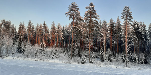 Komatsu Forest -valokuvauskilpailu joulukuu sija 2. Aaro Seppä