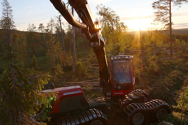 Komatsu Forest -valokuvauskilpailu kesäkuu sija 3. Heikki Juusola