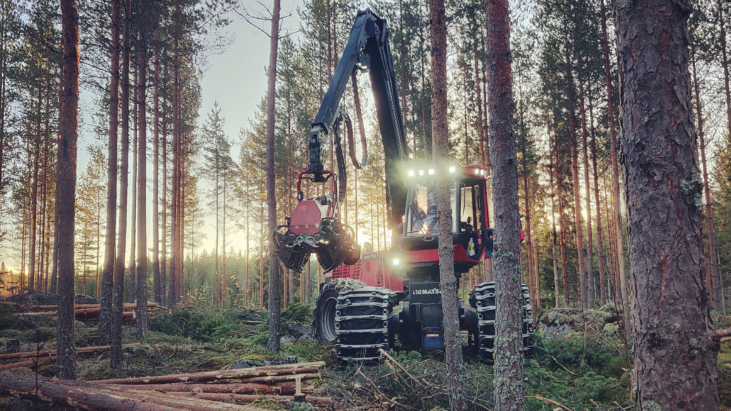 Komatsu Forest -valokuvauskilpailu kesäkuu sija 1. Joni Valli