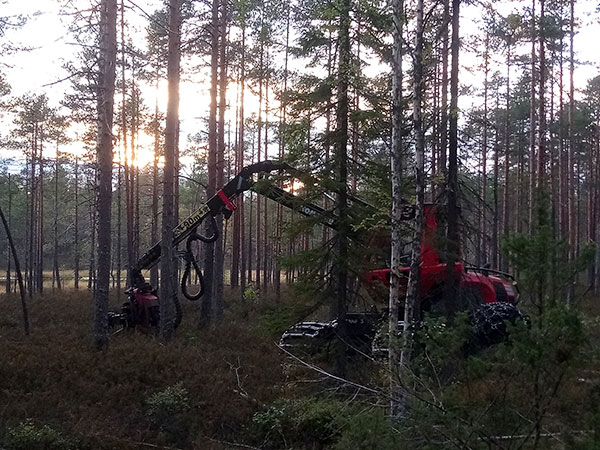 Komatsu Forest -valokuvauskilpailu lokakuu sija 3 Ville Kulmala