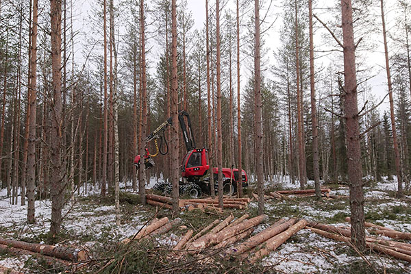 Komatsu Forest -valokuvauskilpailu maaliskuu sija 3 Miika Kannala