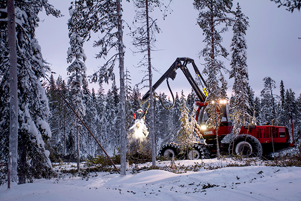 Komatsu Forest -valokuvauskilpailu marraskuu sija 2 Seija Olkkonen
