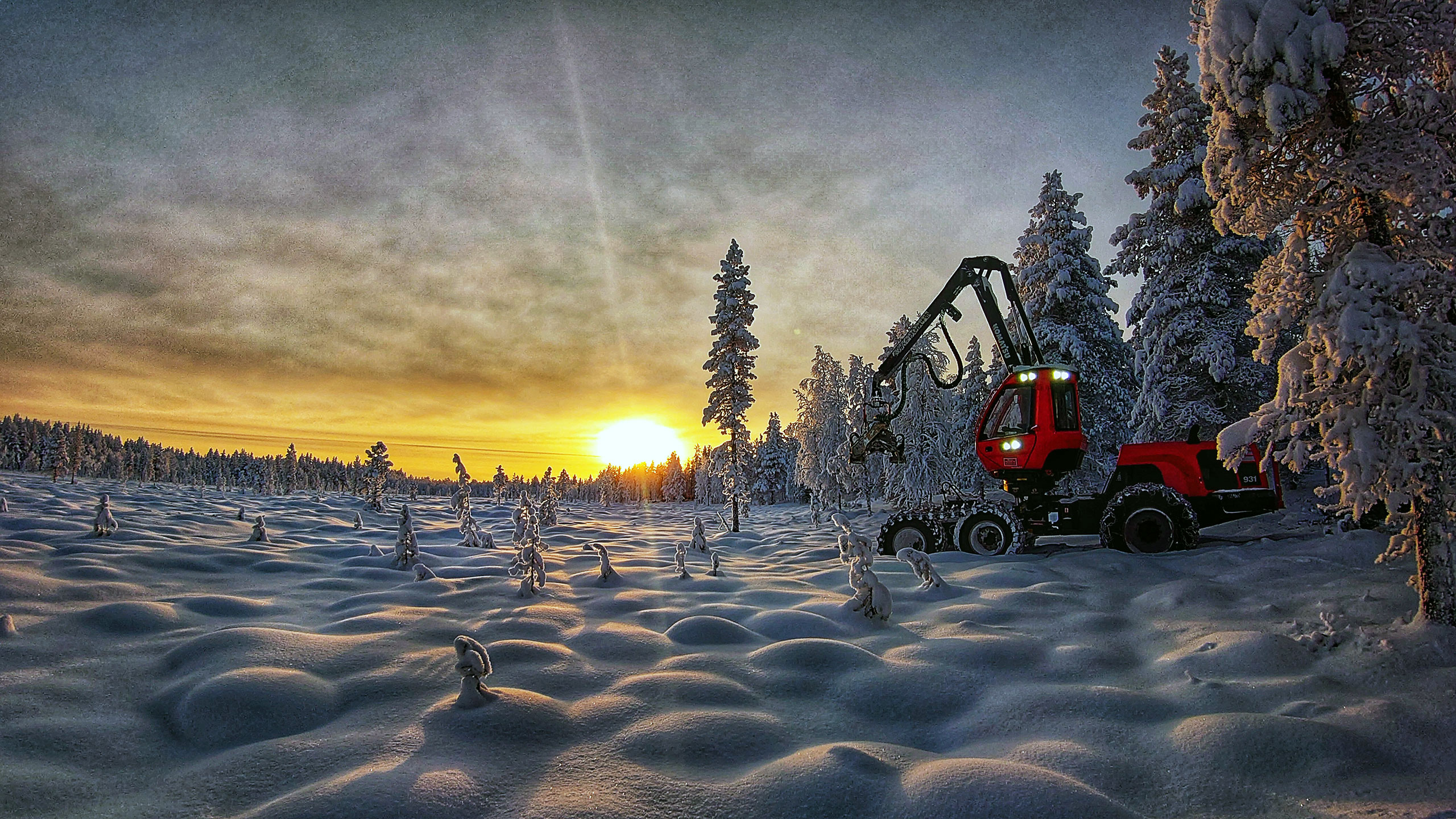 Komatsu Forest -valokuvauskilpailu marraskuu sija 1 Tuomo Väyrynen