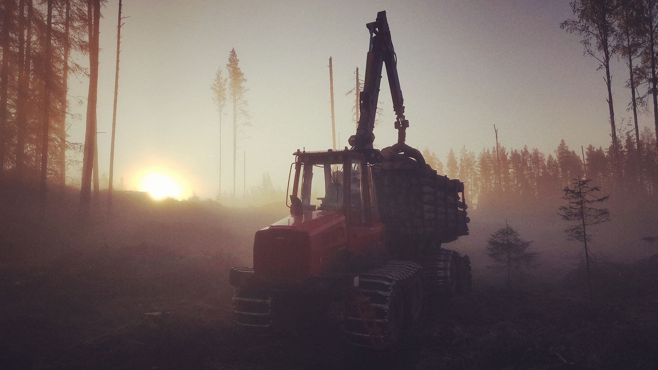 Komatsu Forest -valokuvauskilpailu syyskuu sija 1 Matti Raunio