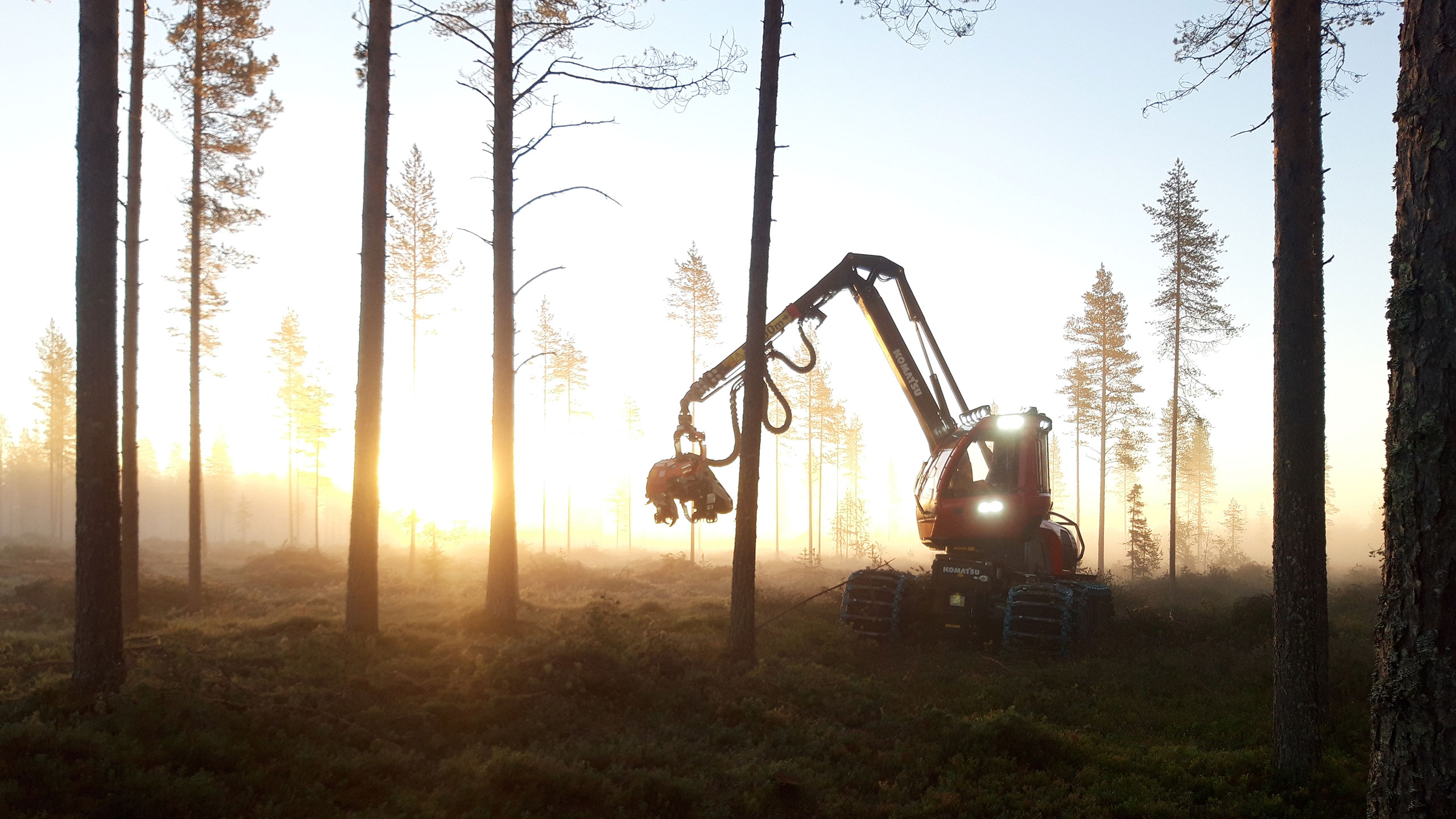 Komatsu Forestin valokuvauskilpailu elokuu 2020, 2. palkinto: Olli Kajava