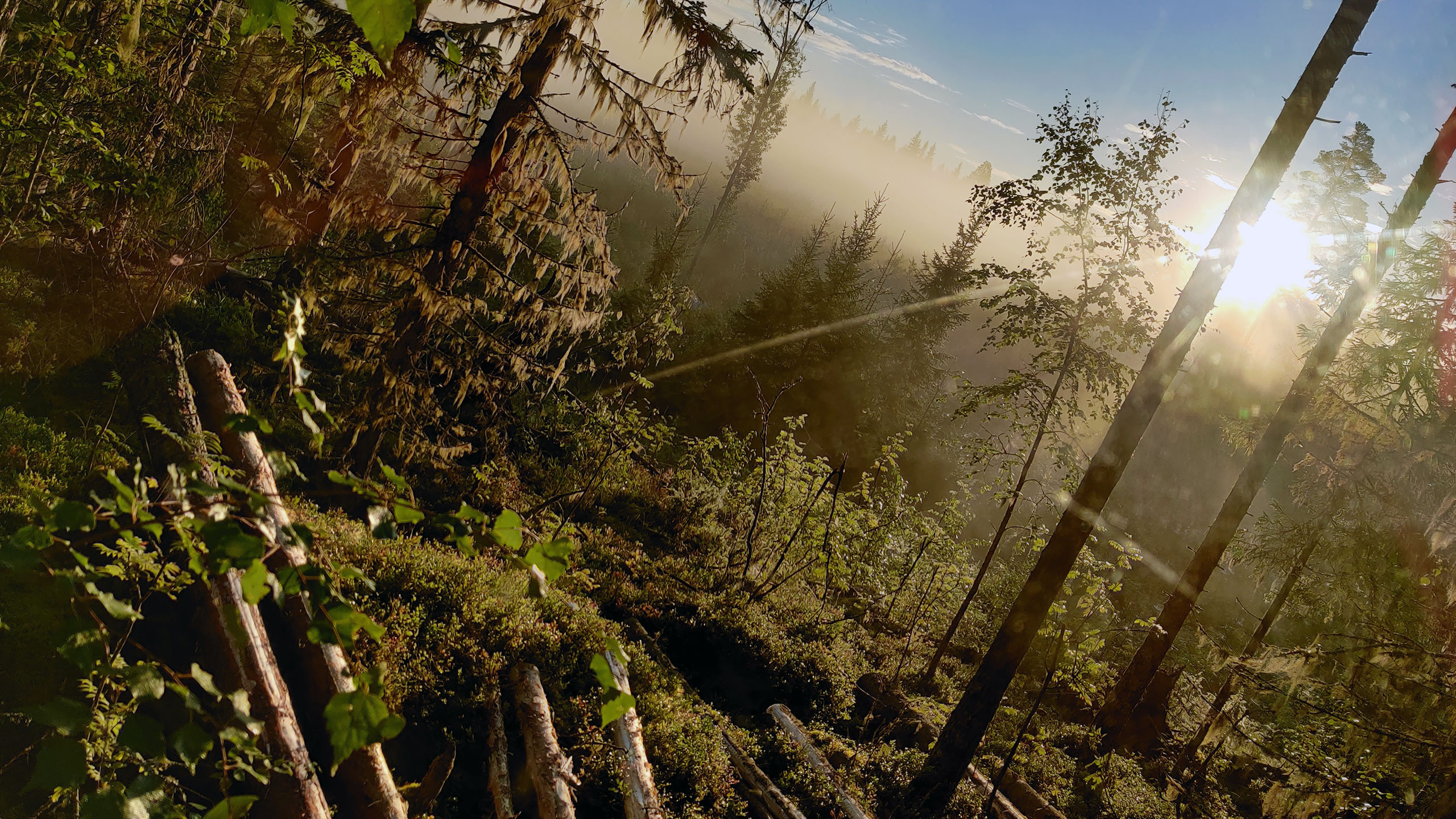 Komatsu Forestin valokuvauskilpailu elokuu 2020, 3. palkinto: Timo Laaksokivi