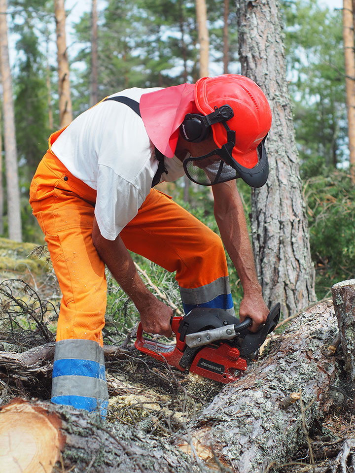 Komatsu Forestin valokuvauskilpailu heinäkuu 2020: Eva Larzén-Östermark