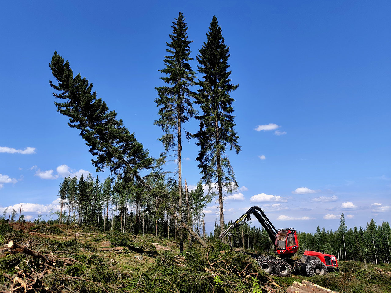 Komatsu Forestin valokuvauskilpailu heinäkuu 2020: Henri Mäkisalo