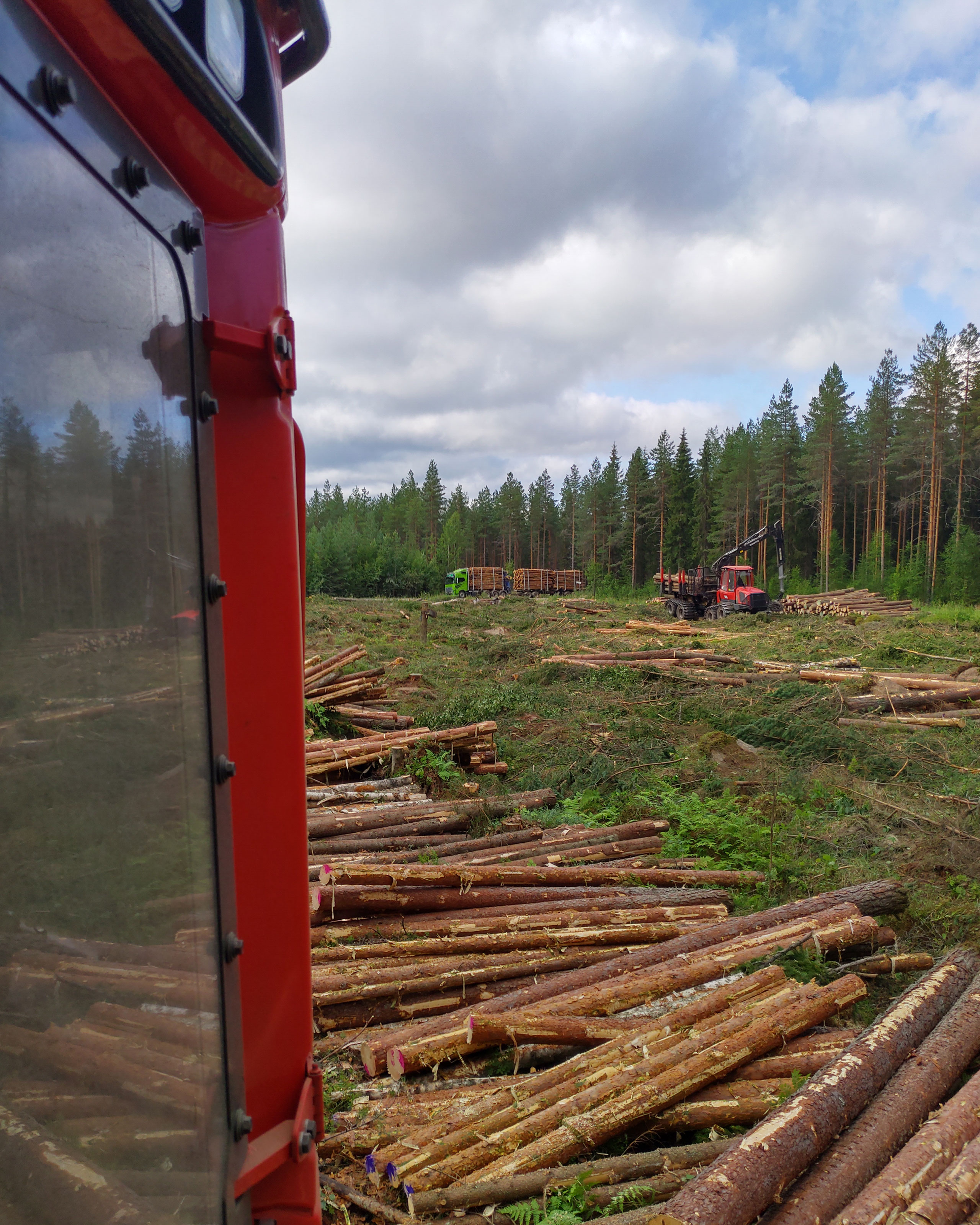 Komatsu Forestin valokuvauskilpailu heinäkuu 2020, 1. palkinto: Kari Gråsten