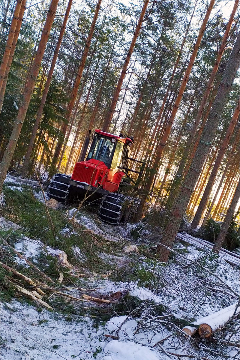 Komatsu Forestin valokuvauskilpailu helmikuu 2020, 3. palkinto: Elias Muurimäki