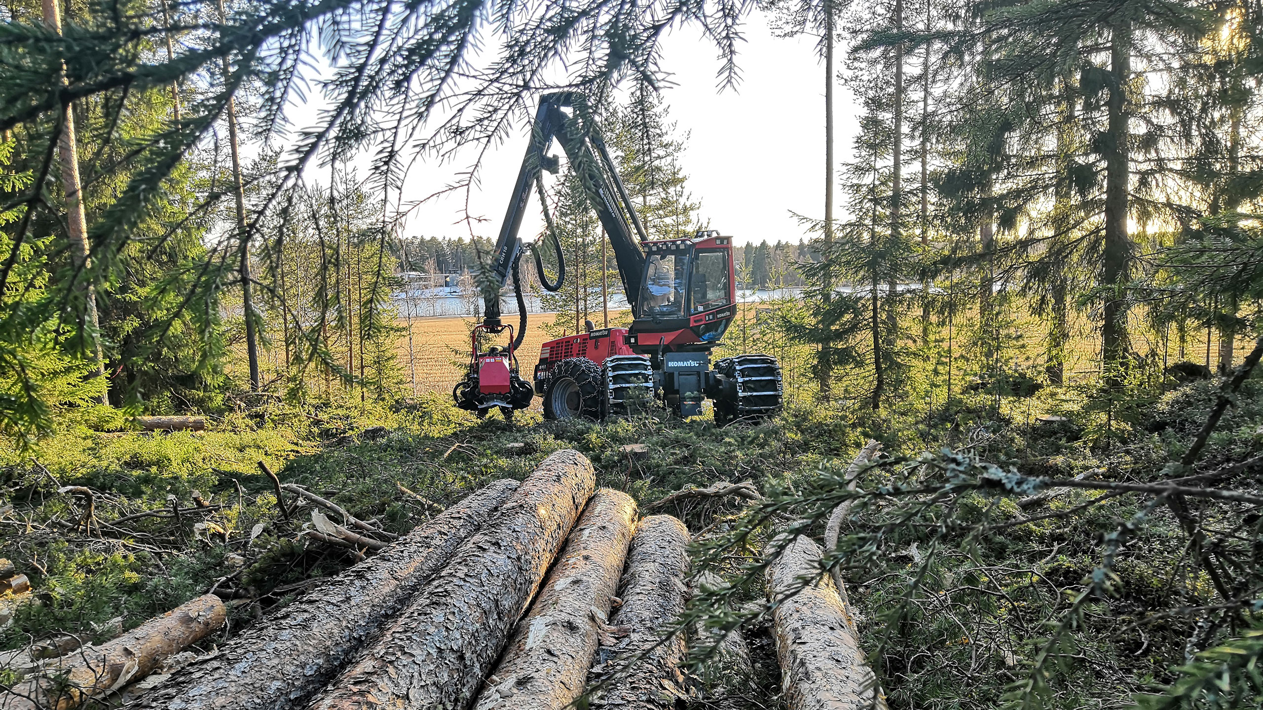 Komatsu Forestin valokuvauskilpailu huhtikuu 2020, 3. palkinto: Lauri Kvist