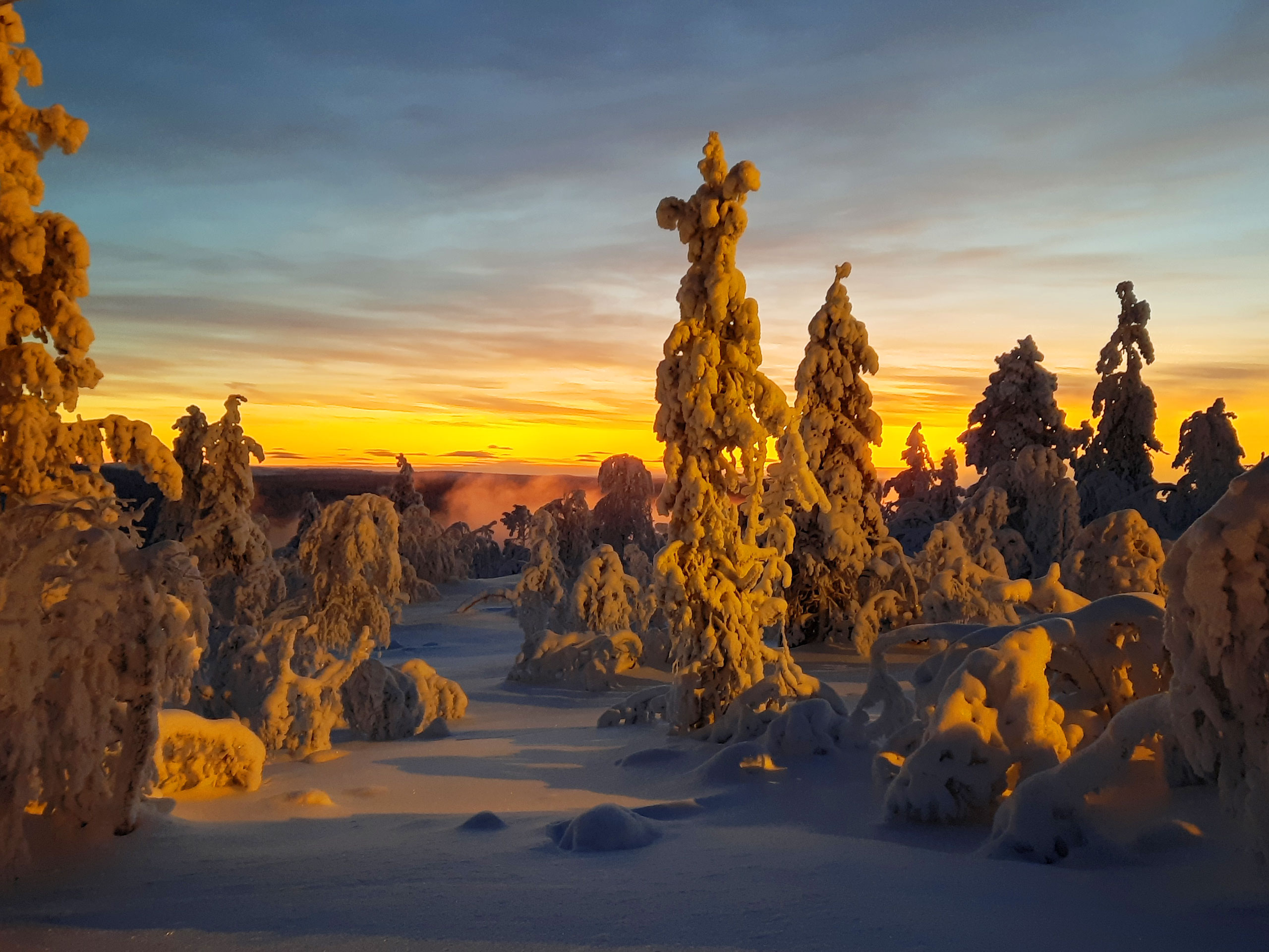 Komatsu Forestin valokuvauskilpailu joulukuu 2020, 2. palkinto: Heikki Viitanen