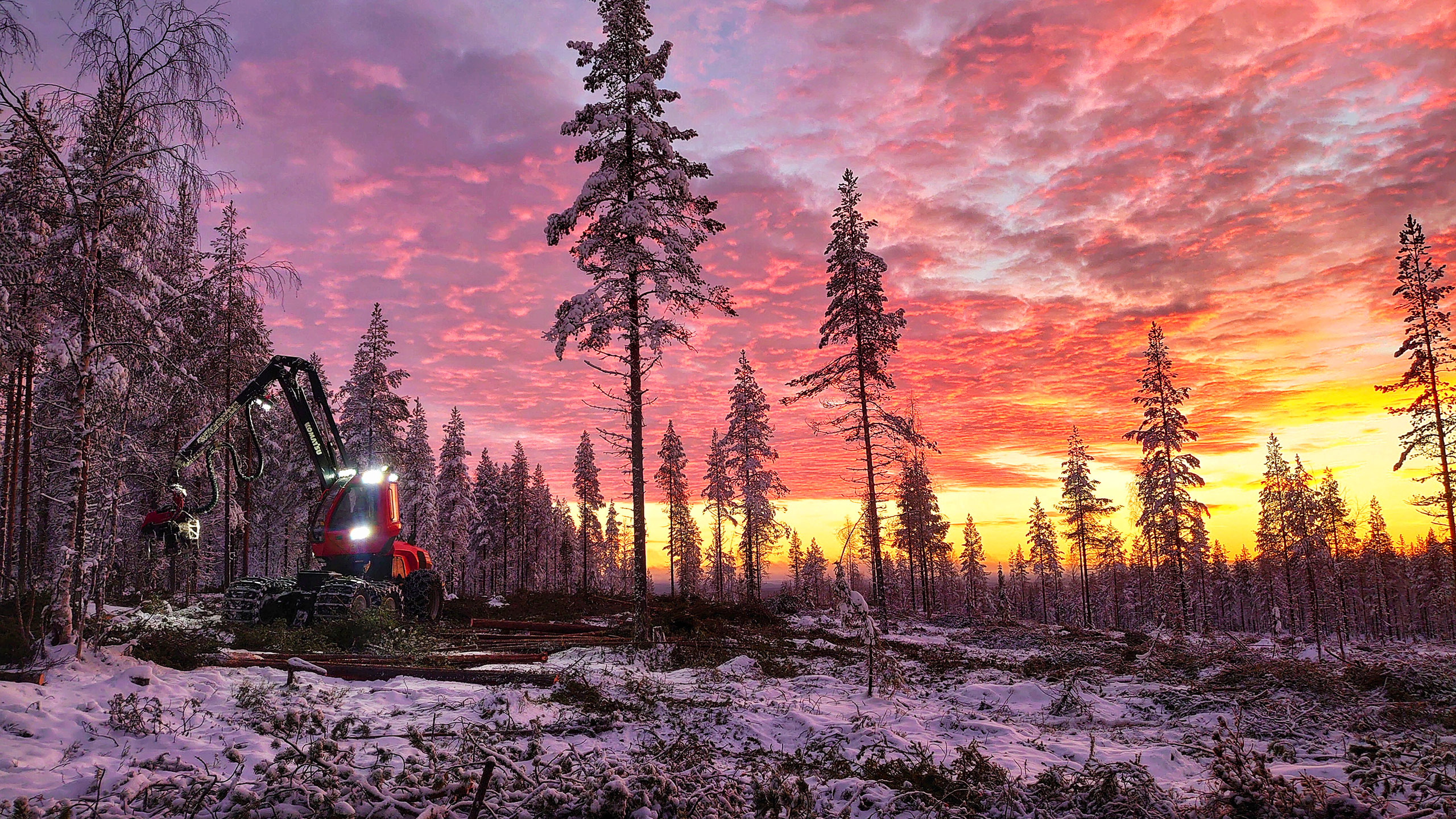 Komatsu Forestin valokuvauskilpailu joulukuu 2020, 1. palkinto: Tuomo Väyrynen