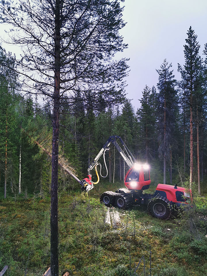 Komatsu Forestin valokuvauskilpailu kesäkuu 2020: Miika Kannala
