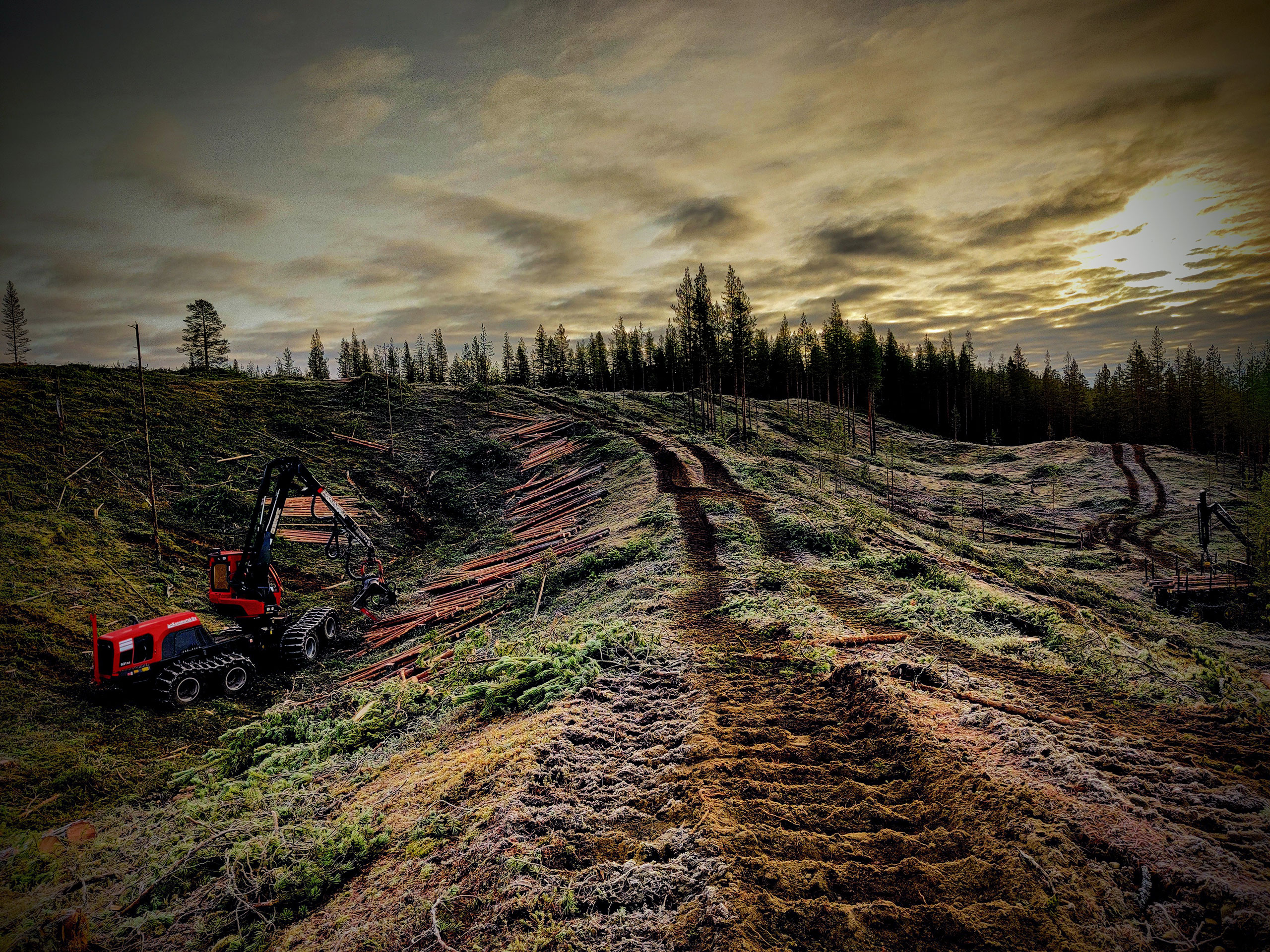 Komatsu Forestin valokuvauskilpailu lokakuu 2020, 2. palkinto: Jarno Holck