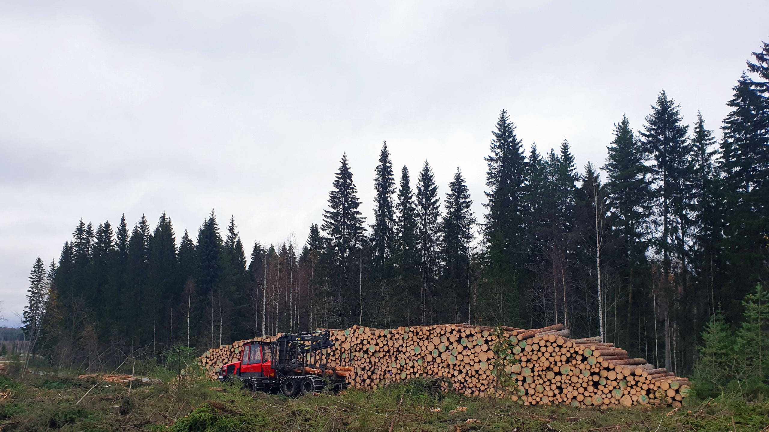 Komatsu Forestin valokuvauskilpailu lokakuu 2020, 3. palkinto: Joni Kuha