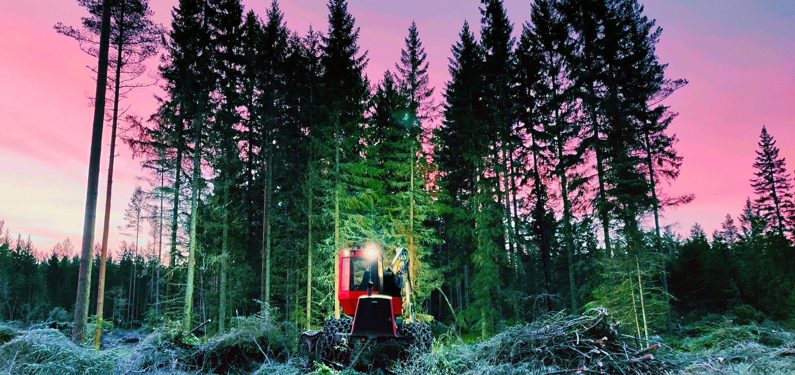 Komatsu Forestin valokuvauskilpailu maaliskuu 2020, 2. palkinto: Joni Valli