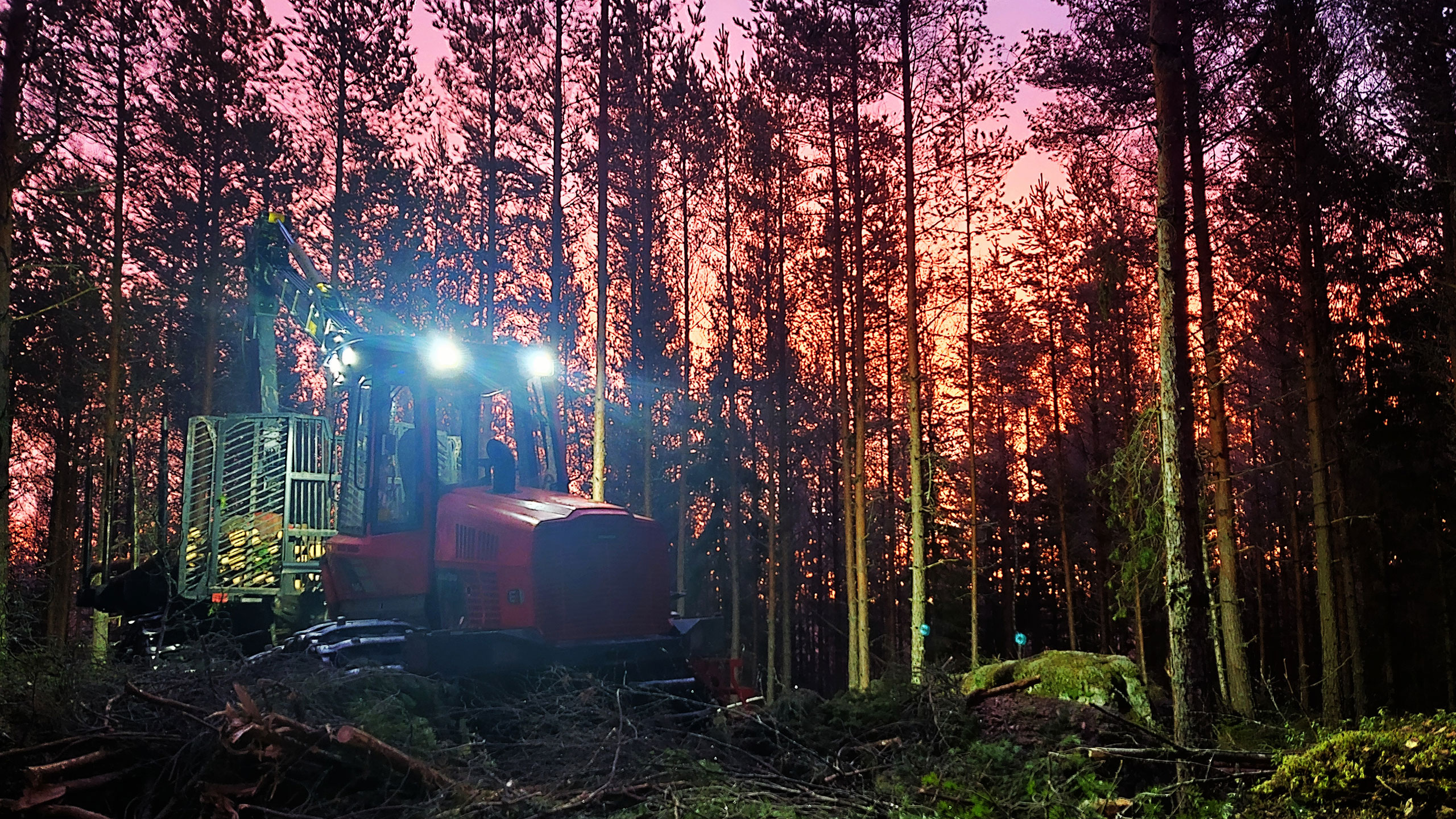 Komatsu Forestin valokuvauskilpailu tammikuu 2020, 1. palkinto: Matti Raunio