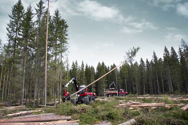Komatsu forwarder and harvester